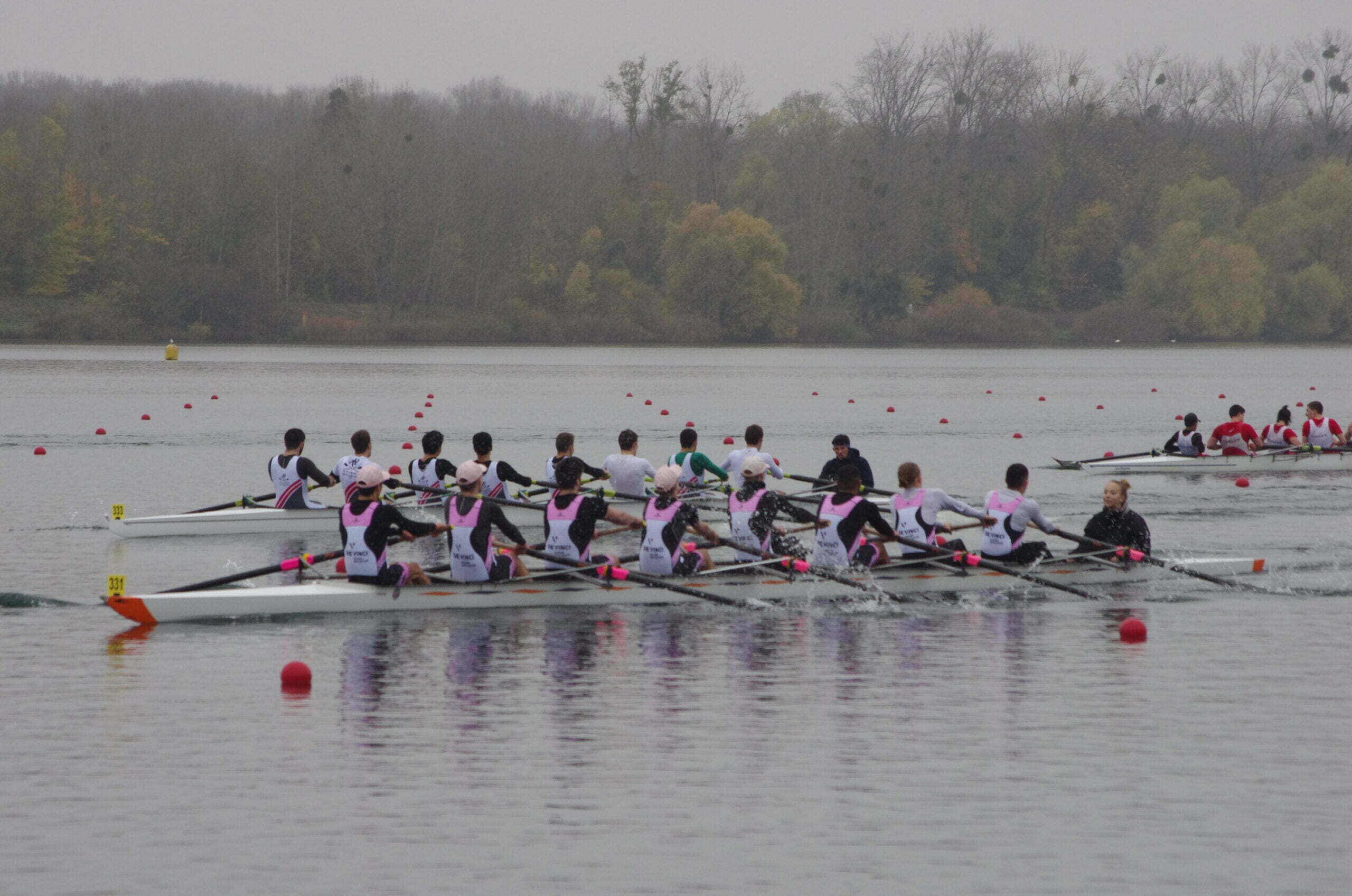 Initiation d'aviron